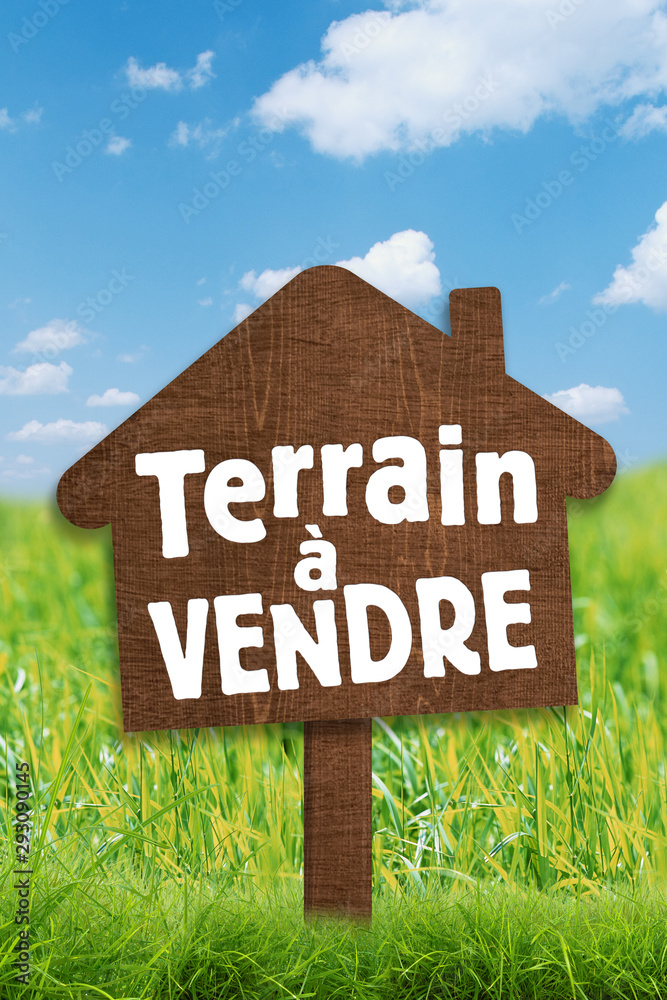 Super affaire: 1 hectare (10 000 m²) à vendre